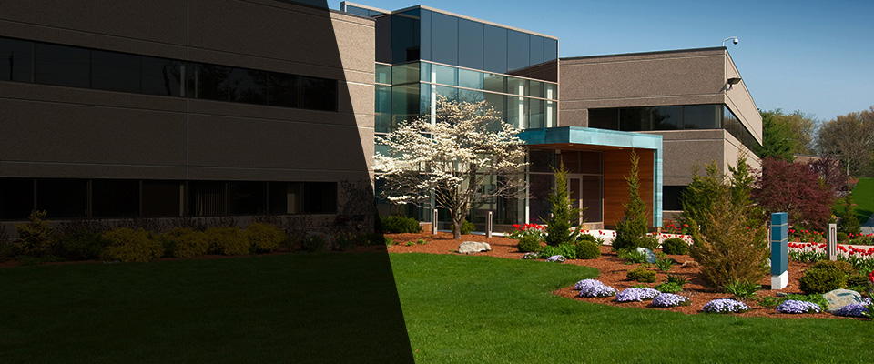 Twain Harte Landscapers