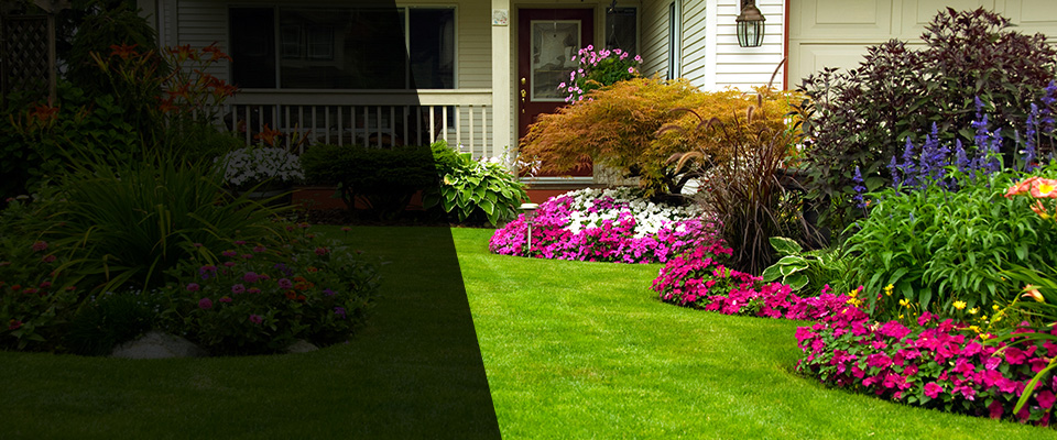 Twain Harte Landscapers