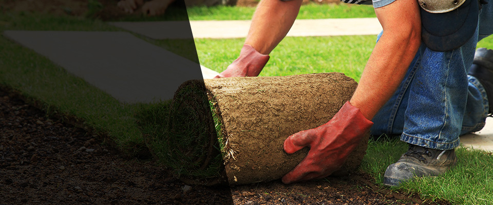 Twain Harte Landscapers
